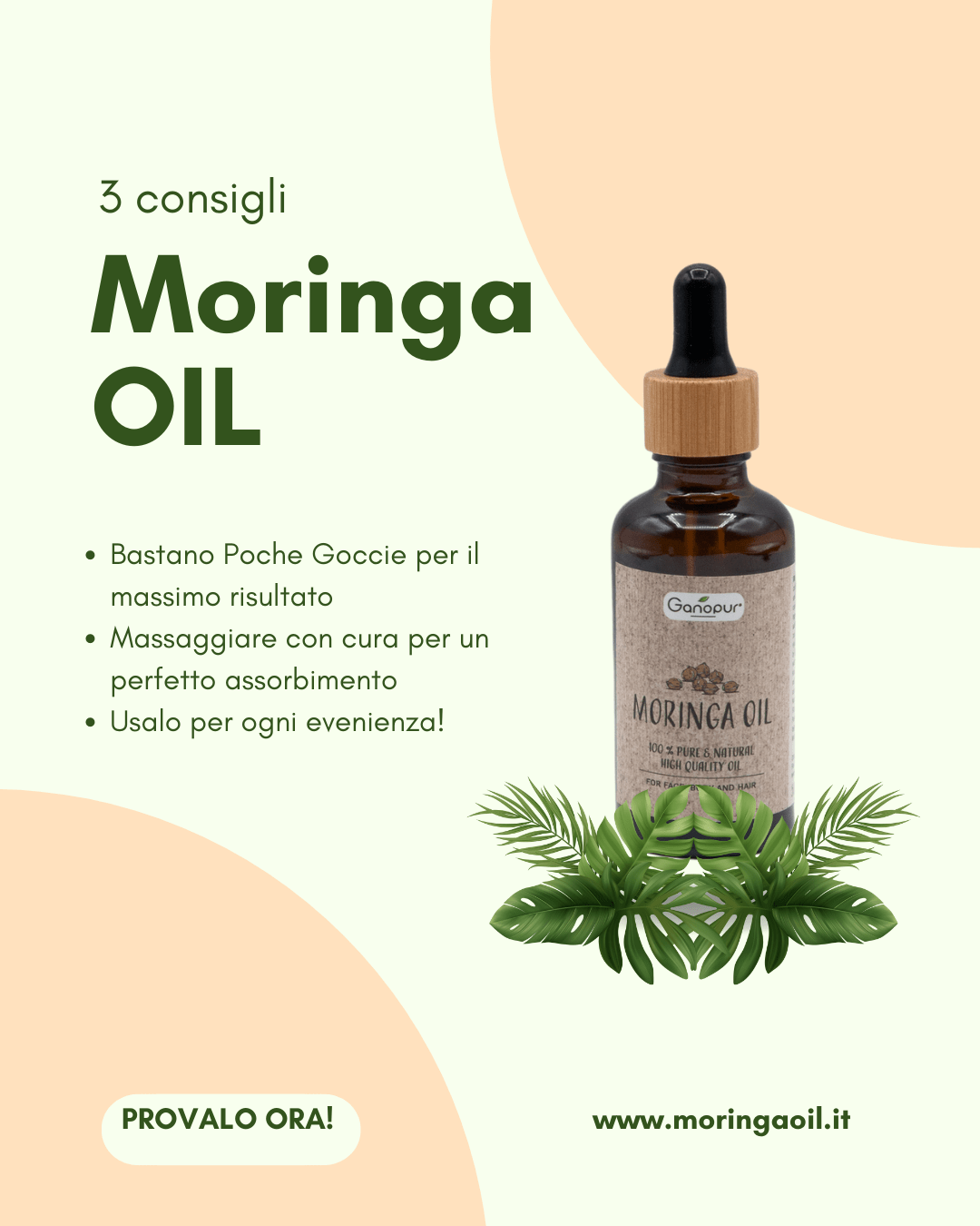 Olio di Moringa 50 ml