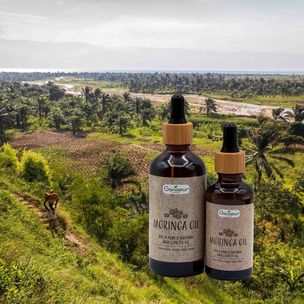 Olio moringa oil panorama burundi