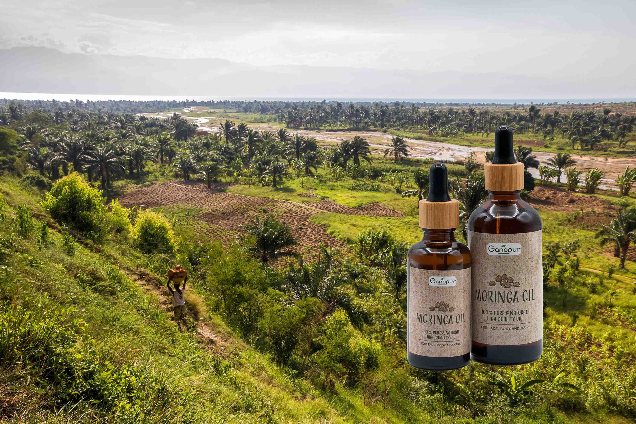 panorama del burundi con olio di moringa
