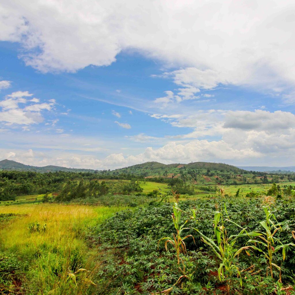 panorama del burundi