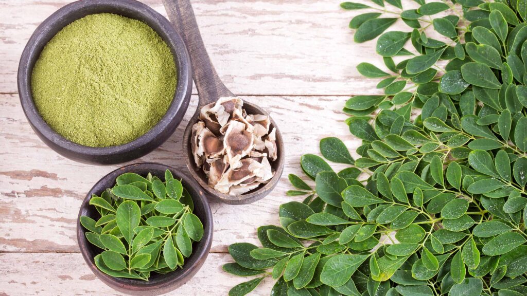 moringa semi foglie polvere
