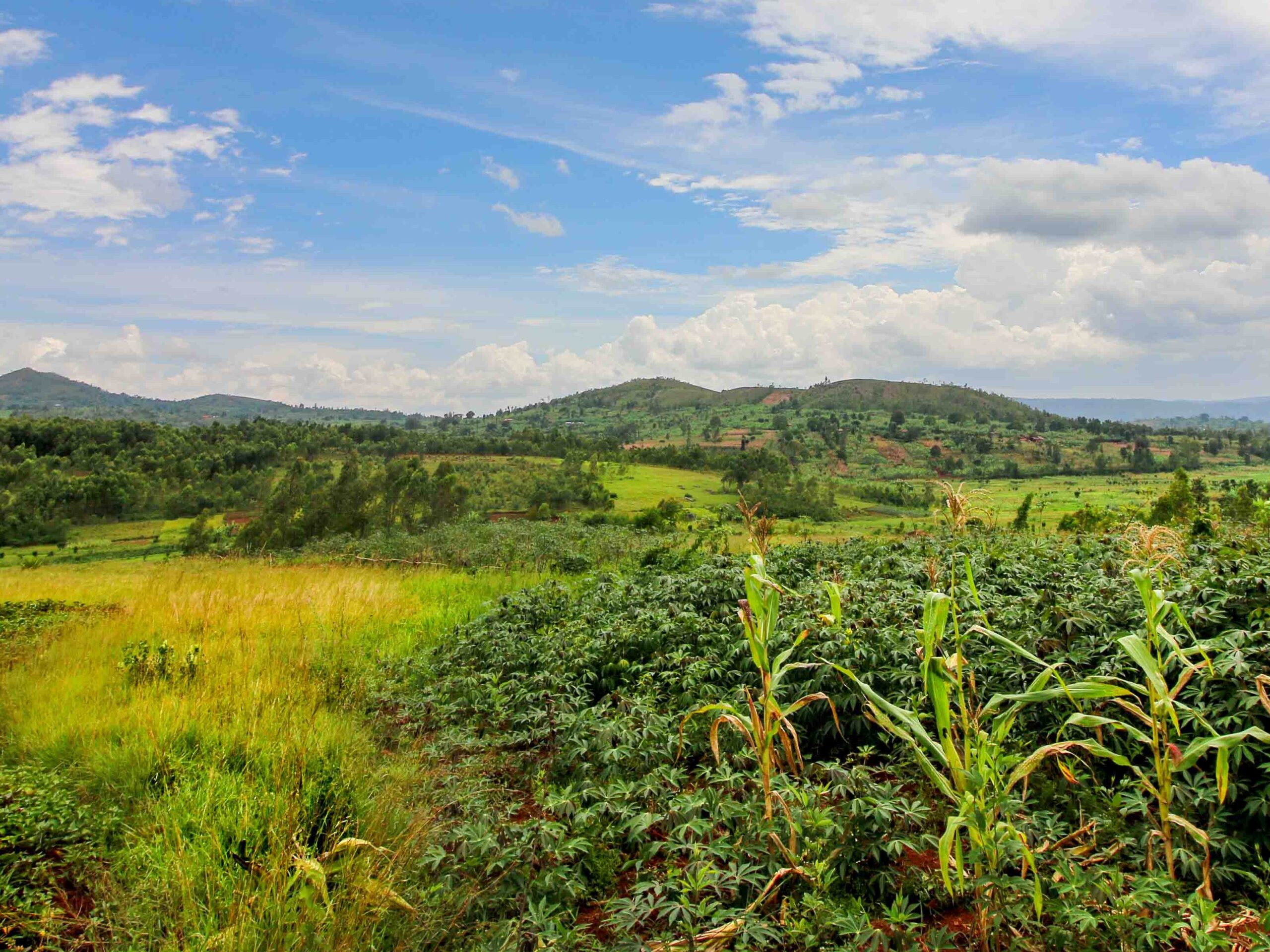 panorama burundi